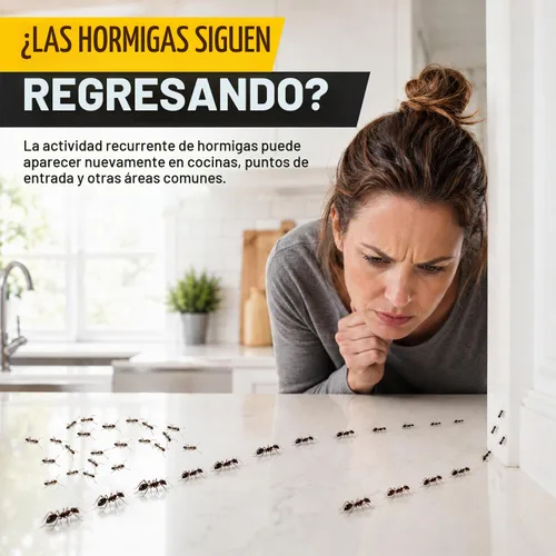 Vista 2 de Paquete de 90 cebos de gel para hormigas de larga duración, eficaces para interiores y exteriores, fórmula de gel para control de azúcar, carpintero