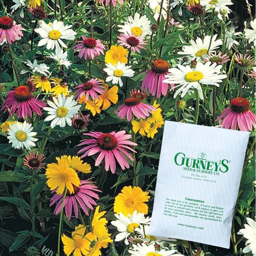 Vista 2 de Mezcla de semillas de flores silvestres amantes de la sombra: trae una variedad de colores a un lugar en tu jardín - Paquete de semillas de 0.50