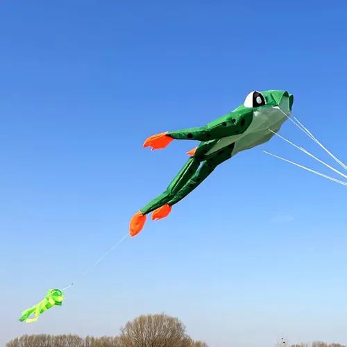 Vista 5 de HENGDA KITE Cometa de rana 3D para adultos, cometas gigantes de parafoil suave sin marco