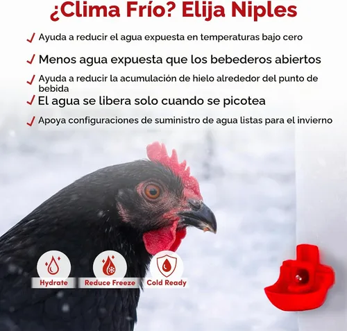Vista 8 de RentACoop Bebedero de pollo de 32 onzas con 2 pezones versátiles