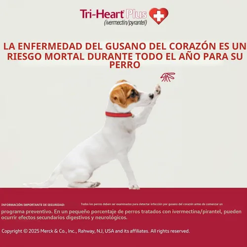 Vista 6 de TRI-HEART PLUS Tableta masticable para perros, 51-100 libras (caja marrón), 6 tabletas masticables, suministro para 6 meses