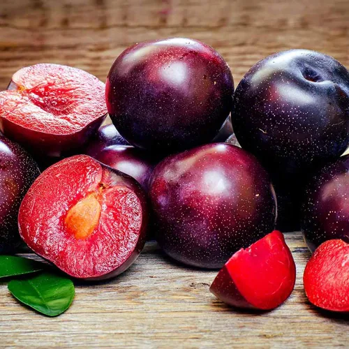 Vista 6 de Más de 150 ciruelos perennes silvestres semillas frutales para plantar al aire libre, semillas de Prunus nativas orgánicas europeas sin OMG