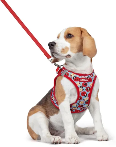 Vista 181 de rabbitgoo Arnés para perro de tamaño pequeño y juego de correa, chaleco Cachorros de manzana