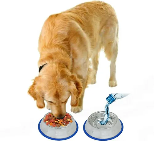 Vista 5 de Juego de 2 tazones para perro de acero inoxidable grabados de Mr. Peanut's, fácil de limpiar, resistente a las bacterias y al óxido, con anillo