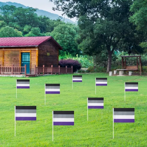 Vista 6 de GentleGirl Paquete de 12 banderas de arco iris del orgullo asexual, pequeñas banderas de mano gay LGBT Festival Fiesta Desfiles Decoraciones