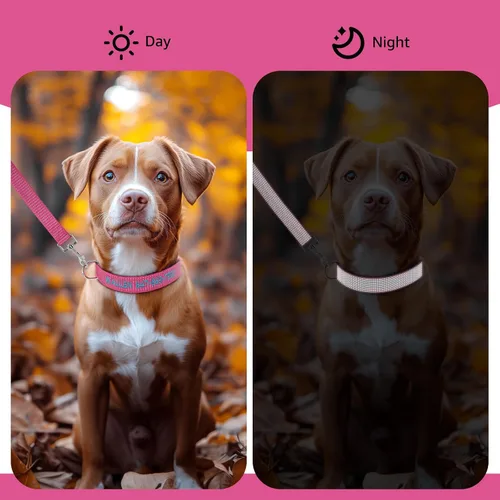Vista 6 de Collar de perro personalizado con nombre y número impresos, collares reflectantes ajustables personalizados con hebilla para perros pequeños