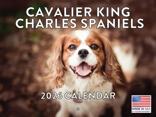 Vista 70 de Calendario mensual de pared Airedale Terrier Dog 2027