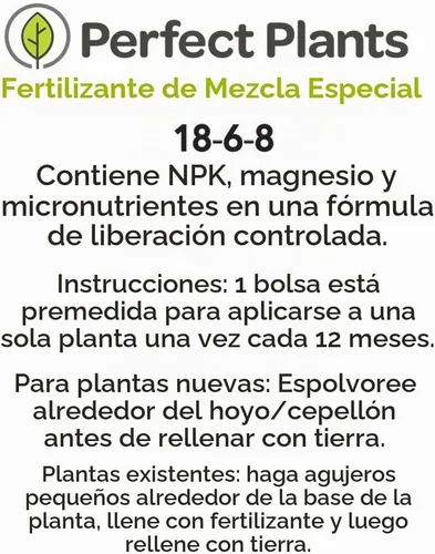 Vista 8 de PERFECT PLANTS Corona nupcial Spirea Planta viva, 1 galón, incluye guía de cuidado