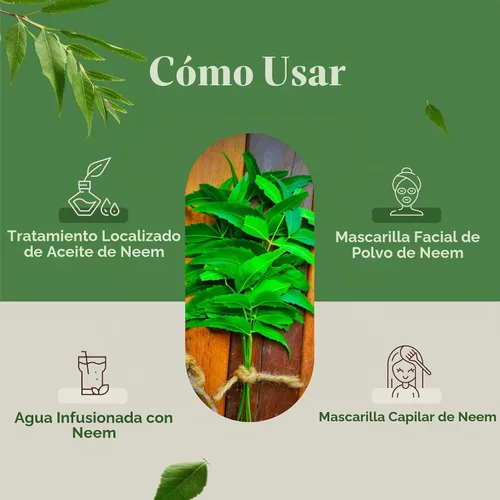Vista 4 de H&C - Polvo de hojas de neem natural, 8.01 oz (1/2 lb)