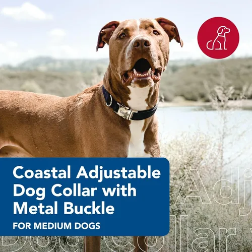 Vista 2 de Coastal Collar de perro ajustable para mascotas con hebilla de metal, cómodo collar de perro resistente a la decoloración con cierre a presión, Negro