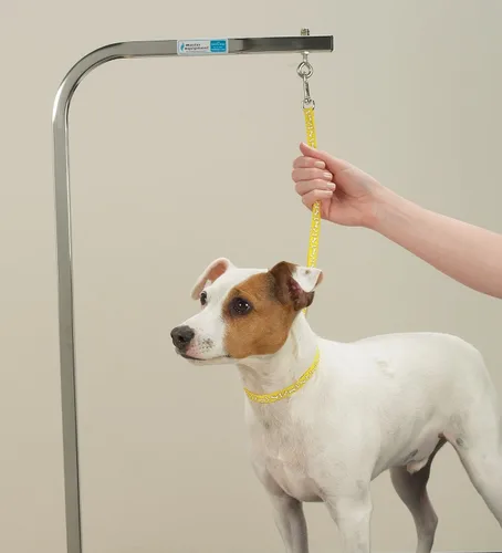 Vista 3 de Top Performance Lazos básicos de aseo - Bucles de nailon versátiles para asegurar a los perros en las mesas mientras se acicalan, 18 pulgadas