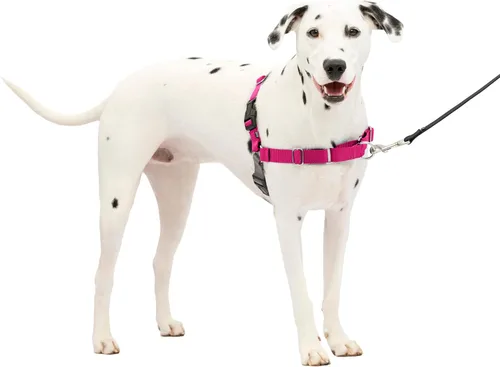 Vista 19 de PetSafe Easy Walk - Arnés para perro, sin tirones, gris carbón Carbón/Negro