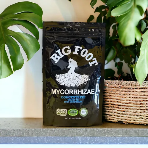 Vista 4 de Big Foot Mycorrhizae para Plantas, Plantas en Maceta y Jardines - Concentrado que se Disuelve Completamente en Agua, Fertilizante Orgánico Todo
