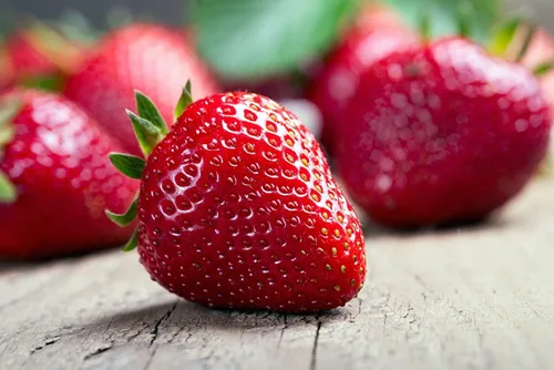 Vista 6 de Semillas Fresca Gigante Fresca - Frutas Perennes para Plantar - Sin OGM