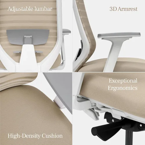 Vista 6 de Silla ergonómica Branch - Una silla de escritorio versátil con soporte lumbar ajustable, respaldo de malla transpirable y ruedas suaves - Grafito