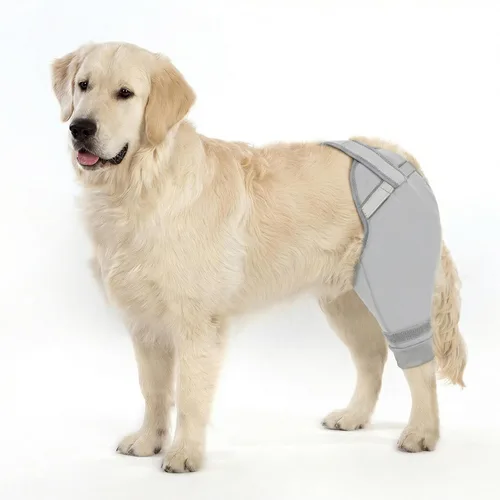 Vista 8 de Funda para patas traseras de perro para dejar de lamer, cubierta mejorada para patas traseras para dejar de resbalar, para cirugía TPLO, condiciones