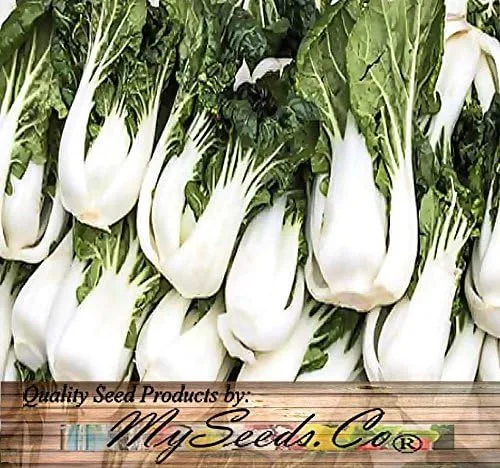 Vista 5 de Paquete grande - Semillas sin transgénicos de MySeeds.Co