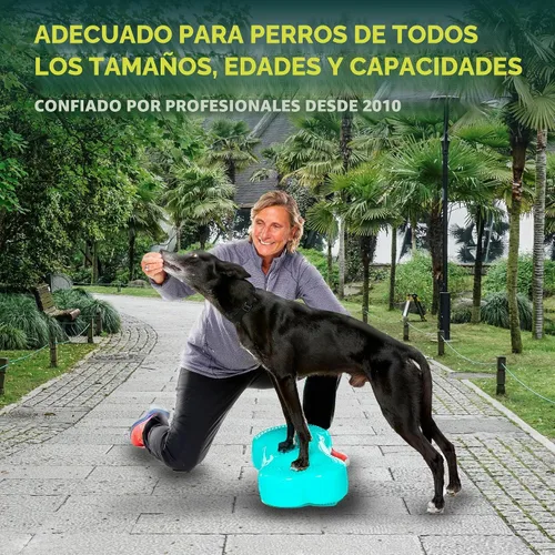 Vista 4 de FitPaws® K9FITbone® Plataforma de equilibrio para perros, equipo de rehabilitación + ejercicio, aguamarina Azul aguamarina