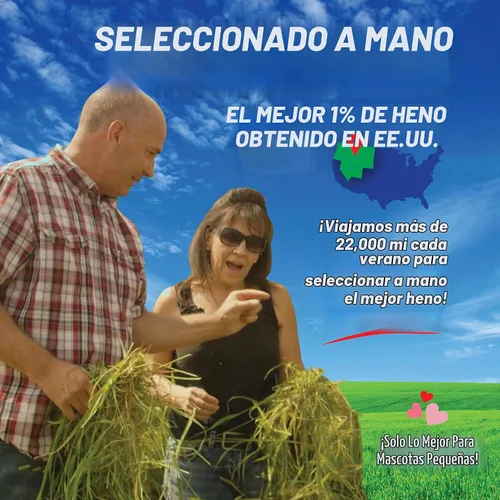 Vista 2 de Small Pet Select 2º Corte Perfect Blend Timothy Hay, alimento para cobaya, conejo, hámster, conejito, chinchilla u otros animales pequeños, heno