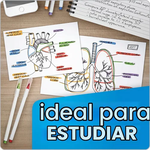 Vista 4 de Oxford Tarjetas de índice en blanco, 4 x 6 pulgadas, blancas, 300 unidades (1 paquete) (10002EE)