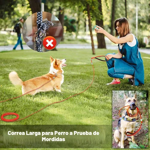 Vista 9 de [Usado] Correa de cable resistente para perros grandes