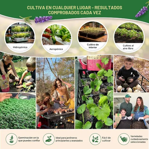 Vista 5 de Organo Republic Paquete variado de 12 semillas de hierbas culinarias - 7,355+ semillas criollas, sin transgénicos, para jardinería en interiores