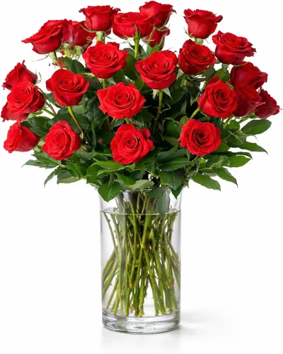Vista 10 de BloomsyBox - Rosas Bicolor - 24 tallos largos, de larga duración, atadas a mano en envases ecológicos, jarrón no incluido, flores frescas