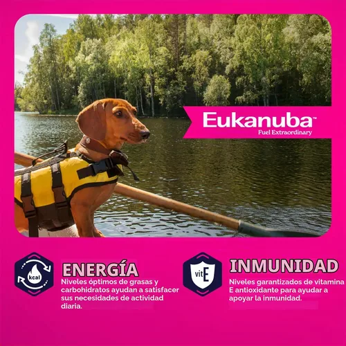 Vista 6 de Eukanuba Alimento seco para perros adultos de raza pequeña, bolsa de 15 libras