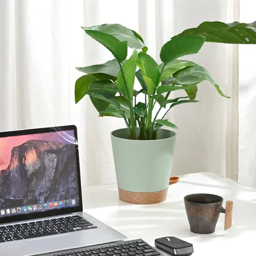 Vista 5 de Macetas para Plantas 6 PCS 5 pulgadas Macetas de Riego Automático Alto Drenaje Maceta de Flores para Plantas de Interior y Exterior con Bandeja