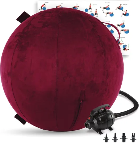 Vista 28 de Husband Pillow Exercise Ball, Cover with Pump for Yoga, Pilates, Fitness Balance Stability, Office Ball Chair Seat. Soft & Slip Resistant, Pro Guide