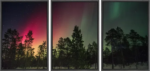 Vista 61 de wall26 Lienzo enmarcado para pared, juego de arte de selva, rana, hoja de palmera, naturaleza, desierto, arte moderno, realismo, decorativo