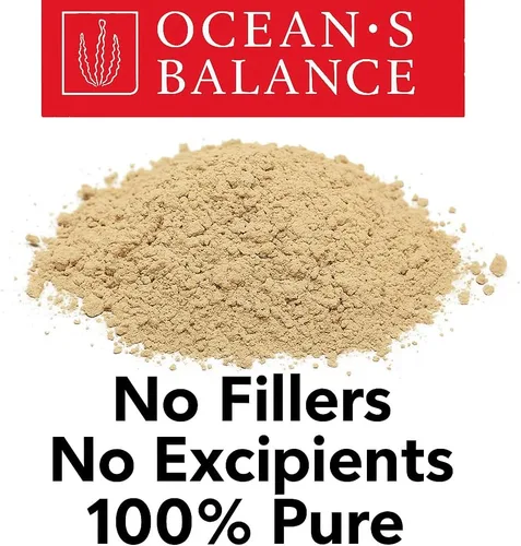 Vista 8 de Ocean's Balance Clean - Polvo orgánico de vesiculosus (Fucus vesiculosus) de la costa prístina de Maine Vegano • Pureza probada en laboratorio •