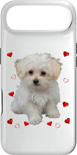 Vista 26 de Funda para iPhone 11 Maltipoo Mix Fans para amantes de los perros maltés