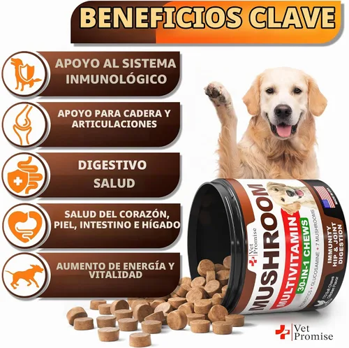 Vista 3 de Paquete de 2 hongos de cola de pavo para perros, 340 masticables, hongo Ámbar
