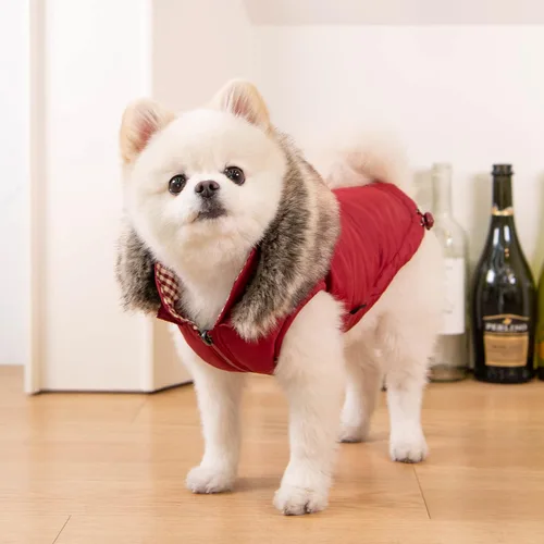 Vista 3 de Puppia Hollis - Abrigo de invierno reversible con capucha para perro, cálido, cómodo, a la moda para perros pequeños y medianos, rojo, talla S