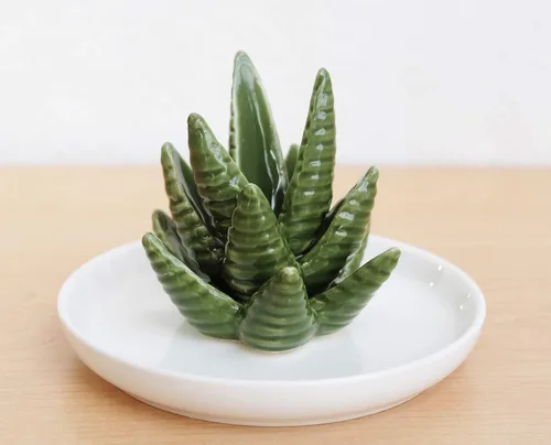 Vista 6 de PUDDING CABIN Soporte para anillos de aloe, plato para anillos de cactus, bandeja para joyas para anillos, aretes, collar, regalo de Navidad