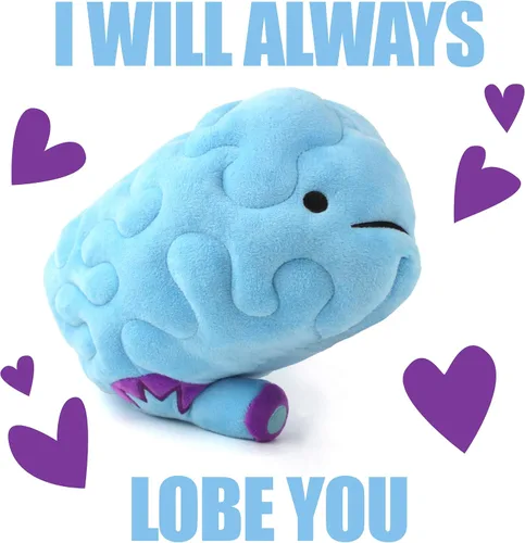 Vista 7 de Peluche de cerebro– ¡All You Need Is Lobe! - Serie I Heart Guts.