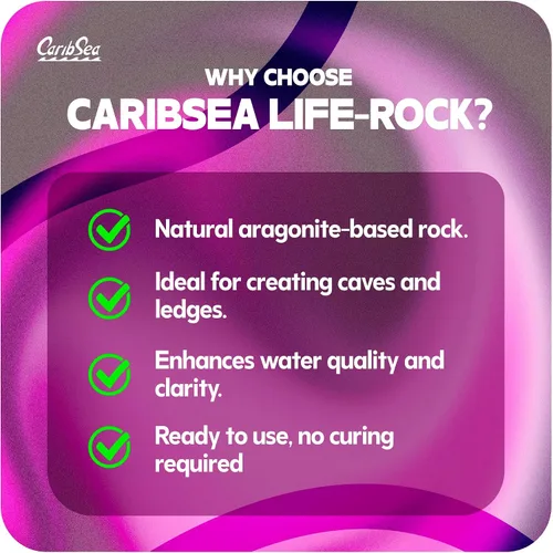 Vista 3 de CaribSea LifeRock Shapes - 20 libras - Roca aragonita natural para paisajismo acuático, apoya el crecimiento de coral y la estabilidad del tanque