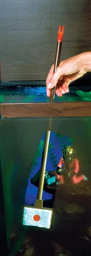 Vista 3 de Penn-Plax Raspador de algas WZ1: ayuda a mantener tu acuario limpio con el raspador Wizard