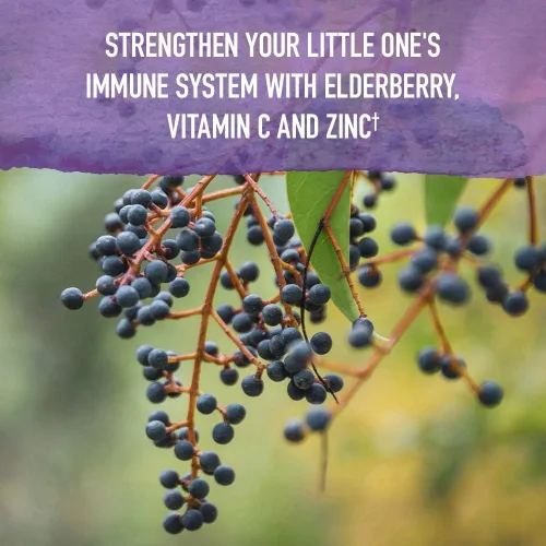 Vista 4 de Garden of Life Organics - Jarabe inmunológico de saúco y sueño para niños con zinc, vitamina C, jarabe de saúco, apoyo inmunológico a base