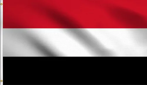 Vista 152 de DMSE - Bandera nacional beninesa beninesa de la República de África Occidental, 2 x 3 pies, 100 % poliéster, 100 % poliéster, resistente a los rayos