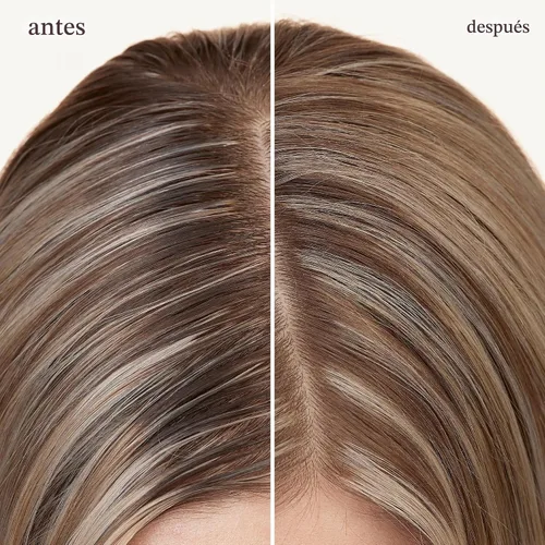 Vista 3 de Pureology Champú Style + Protect Refresh & Go Dry Para cabello teñido Vegano