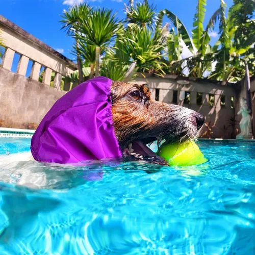 Vista 2 de Aliceset Gorro de ducha para perro, 3 unidades, impermeables, para baño, con diadema, protección para evitar infecciones de oído, 3