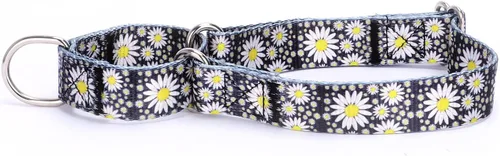 Vista 13 de Collar de perro de nailon resistente, collar ajustable de martingala para perros para caminar y entrenamiento para perros machos y hembras perros
