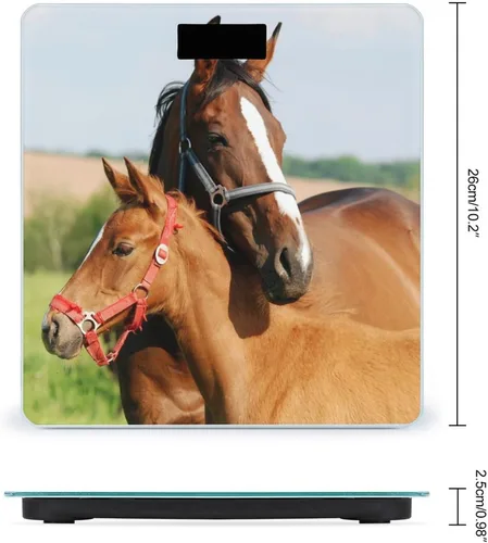 Vista 2 de Báscula de caballo de los amantes para el peso corporal Báscula de baño digital Diseño de esquina redonda Báscula de peso corporal