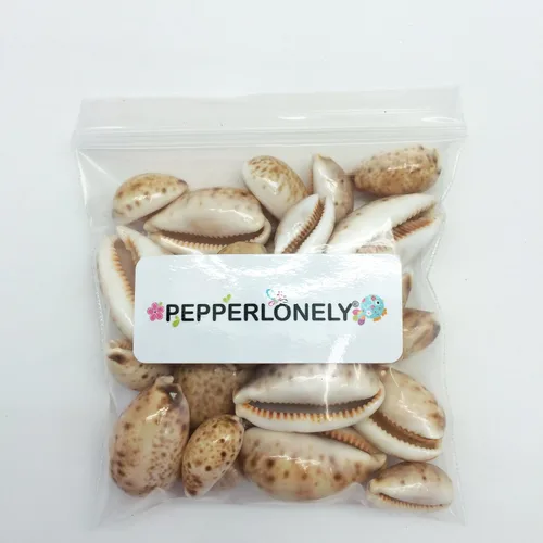 Vista 4 de PEPPERLONELY 25PC Lynx Cowry Sea Shells, 3/4 pulgadas ~ 1-1/2 pulgadas