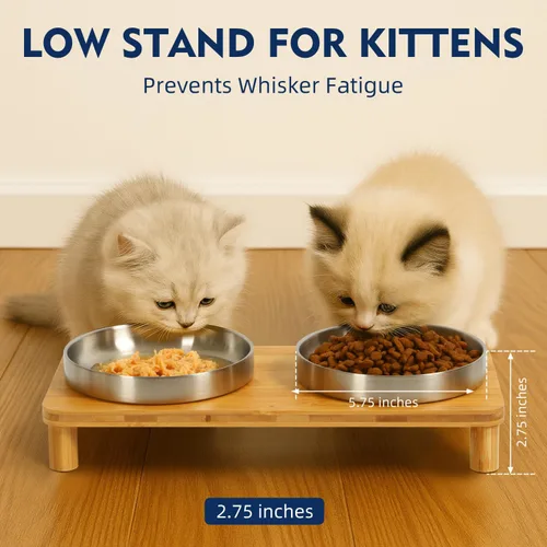Vista 3 de DoogCat Cuencos elevados para gatos de interior – Mesa elevada de bambú para gatos con 2 platos de acero inoxidable, altura ajustable