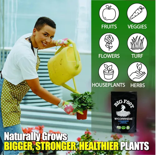 Vista 2 de Big Foot Mycorrhizae para Plantas, Plantas en Maceta y Jardines - Concentrado que se Disuelve Completamente en Agua, Fertilizante Orgánico Todo