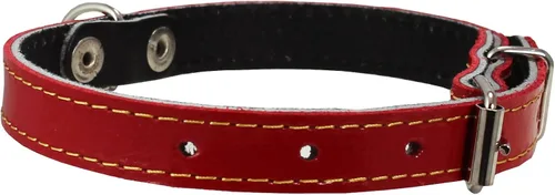 Vista 4 de Collar de perro de cuero genuino de 9.5 a 13 pulgadas, tamaño del cuello, 1/2 pulgada de ancho Yorkshire Terrier, cachorros