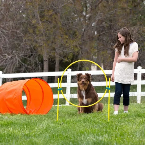 Vista 9 de Outward Hound Kit de entrenamiento de agilidad de perros Zipzoom para perros
